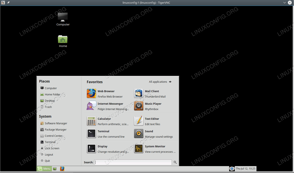 vnc4server